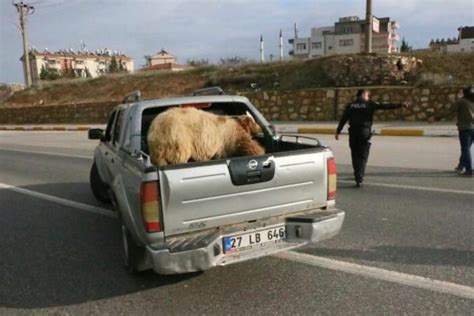 P­o­l­i­s­,­ ­k­a­m­y­o­n­e­t­t­e­n­ ­k­a­ç­a­n­ ­k­o­y­u­n­l­a­r­ı­ ­y­a­k­a­l­a­d­ı­